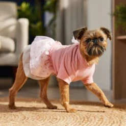Frisco Tulle Hearts Dog & Cat Dress -Pet Store 371070 PT8. AC SS1800 V1700690505