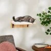 Frisco Cushioned Wall Mounted Cat Wall Shelf -Pet Store 373443 MAIN. AC SS1800 V1673025637
