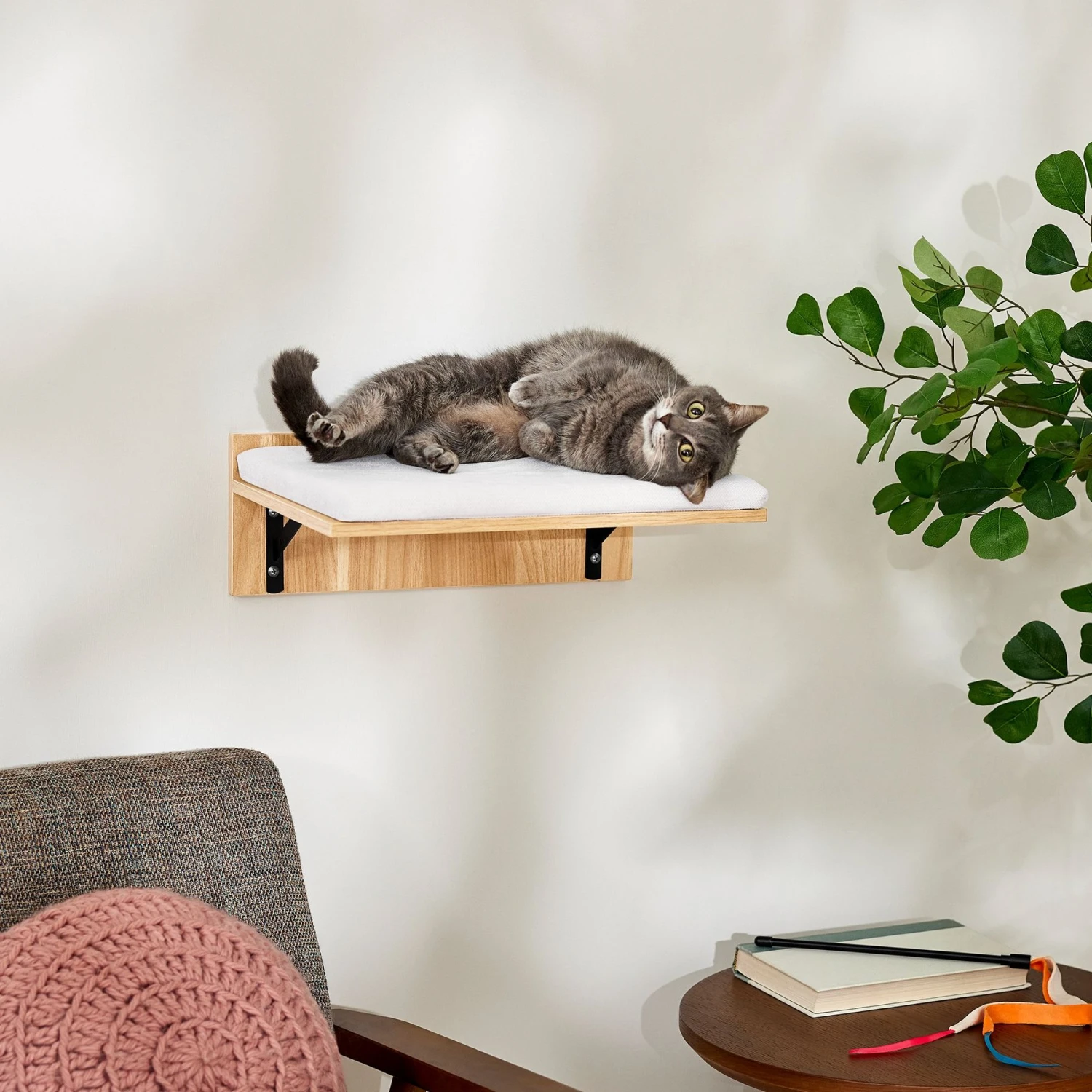 Frisco Cushioned Wall Mounted Cat Wall Shelf Frisco Cushioned Wall Mounted Cat Wall Shelf -Pet Store 373443 MAIN. AC SS1800 V1673025637