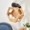 Frisco Hexagon Wall Mounted Cat Wall Shelf 1 Frisco Hexagon Wall Mounted Cat Wall Shelf -Pet Store 373445 MAIN. AC SS1800 V1673014106