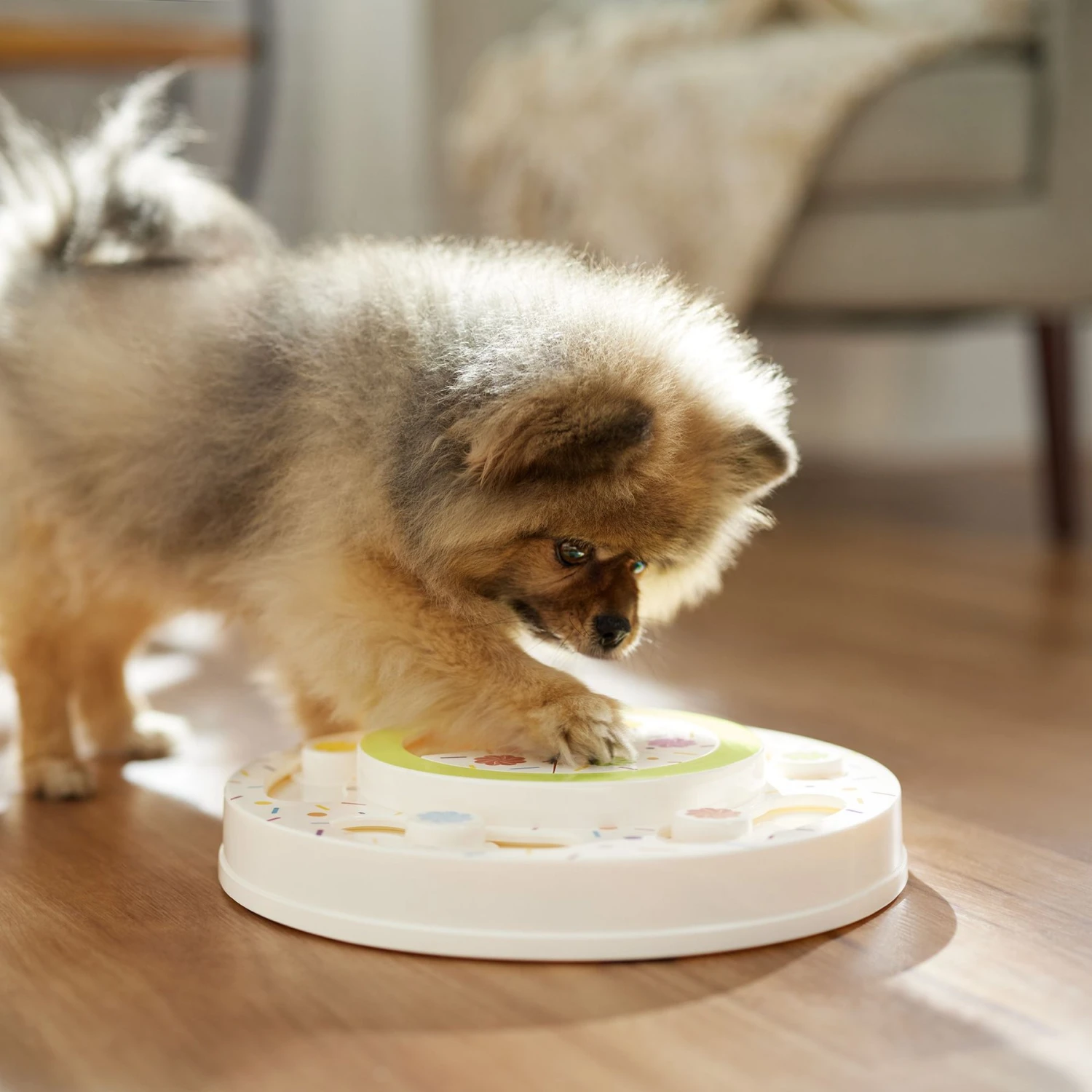 Frisco Tiered Cake Interactive Puzzle Dog Toy, Easy Frisco Tiered Cake Interactive Puzzle Dog Toy, Easy -Pet Store 506346 PT5. AC SS1800 V1674666566