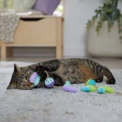 Frisco Fabric & Play Plastic Balls Cat Toy -Pet Store 526030 PT3. AC SS1800 V1669148132