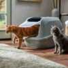 Frisco Mega Deluxe Litter Box -Pet Store 526526 MAIN. AC SS1800 V1659623787