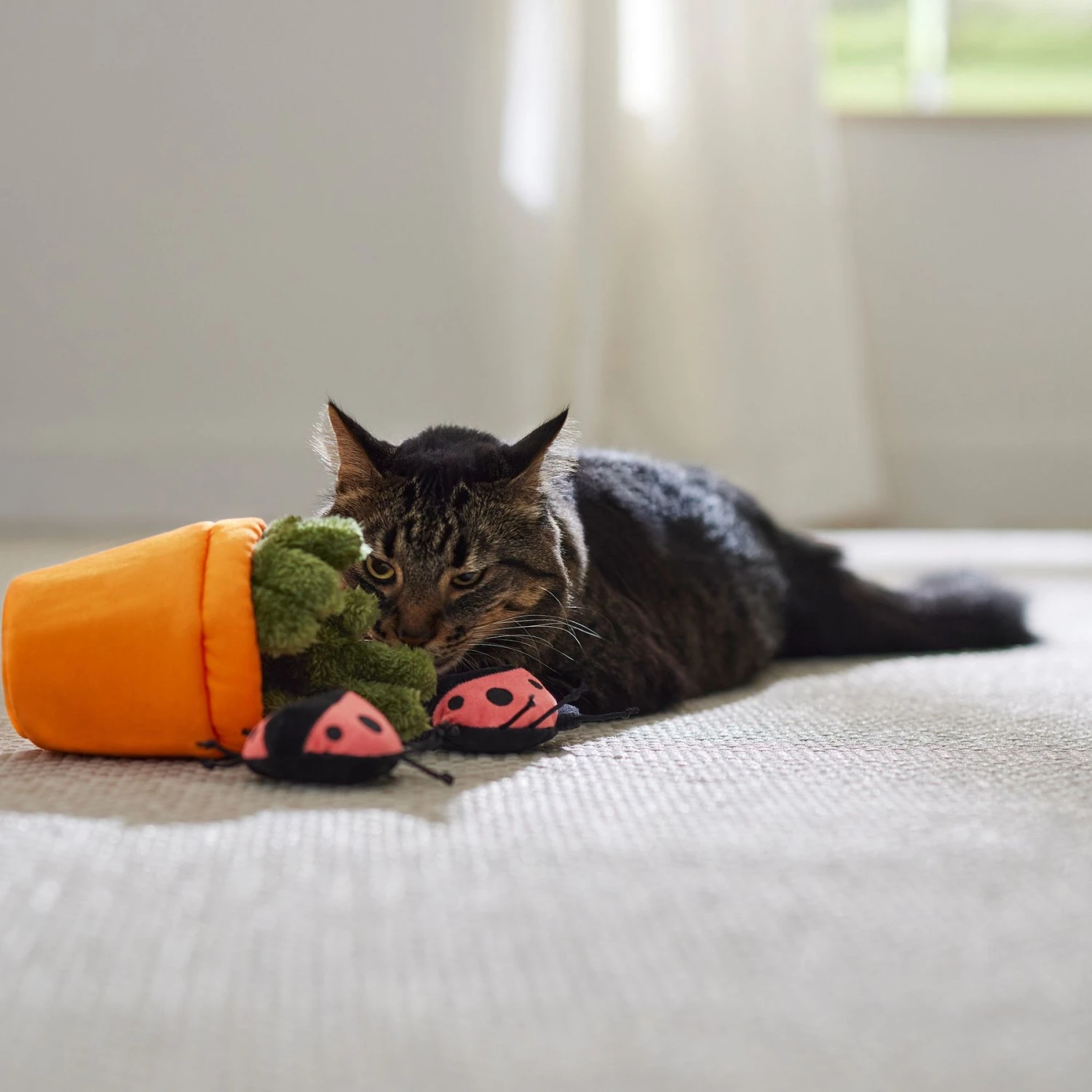 Frisco Spring Potted Plant and Ladybugs Interactive Plush Cat Toy with Catnip Frisco Spring Potted Plant And Ladybugs Interactive Plush Cat Toy With Catnip -Pet Store 541542 PT3. AC SS1800 V1671814448