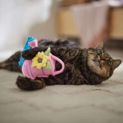 Frisco Spring Watering Can Plush Cat Toy With Catnip -Pet Store 541558 PT3. AC SS1800 V1671814448