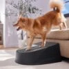 Frisco Plastic Easy Step Cat & Dog Stair 1 Frisco Plastic Easy Step Cat & Dog Stair -Pet Store 542390 MAIN. AC SS1800 V1671829661