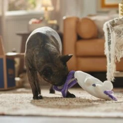 Frisco Halloween Bunny Ghost Plush Squeaky Dog Toy -Pet Store 667878 PT3. AC SS1800 V1689340856