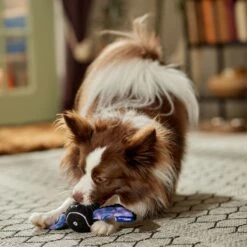 Frisco Halloween Bat Fetch Squeaky Tennis Ball Dog Toy 5 Frisco Halloween Bat Fetch Squeaky Tennis Ball Dog Toy -Pet Store 668278 PT3. AC SS1800 V1689350166