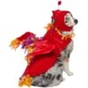 Frisco Flying Phoenix Dog & Cat Costume -Pet Store 708150 MAIN. AC SS1800 V1691084858