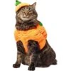 Frisco Pumpkin Ball Dog & Cat Costume 2 Frisco Pumpkin Ball Dog & Cat Costume -Pet Store 708902 MAIN. AC SS1800 V1689351821