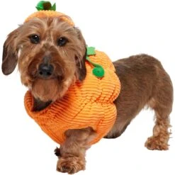 Frisco Pumpkin Ball Dog & Cat Costume -Pet Store 708902 PT2. AC SS1800 V1689351041
