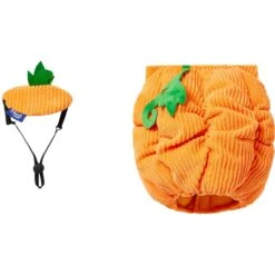 Frisco Pumpkin Ball Dog & Cat Costume -Pet Store 708902 PT4. AC SS1800 V1689342202
