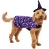 Frisco Cosmic Witch Dog & Cat Costume -Pet Store 708982 MAIN. AC SS1800 V1689282565
