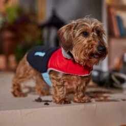 Frisco Medium Weight Retro Colorblock Mixed Media Dog & Cat Coat -Pet Store 719462 PT7. AC SS1800 V1692379031