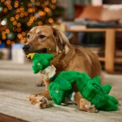 Frisco Holiday Elf In A Tree Bungee Plush Squeaky Dog Toy 5 Frisco Holiday Elf In A Tree Bungee Plush Squeaky Dog Toy -Pet Store 739846 PT3. AC SS1800 V1695047600