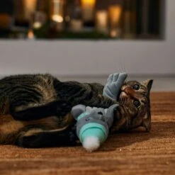 Frisco Holiday Interactive Flopping Seal Electronic Cat Toy With Catnip 6 Frisco Holiday Interactive Flopping Seal Electronic Cat Toy With Catnip -Pet Store 740102 PT4. AC SS1800 V1695043876