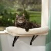 Frisco Plush Cat Window Perch With Removeable Bolster 2 Frisco Plush Cat Window Perch With Removeable Bolster -Pet Store 804630 MAIN. AC SS1800 V1695933061