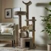 Frisco 64-in Real Carpet Wooden Cat Tree And Condo 2 Frisco 64-in Real Carpet Wooden Cat Tree And Condo -Pet Store 914950 MAIN. AC SS1800 V1697732994