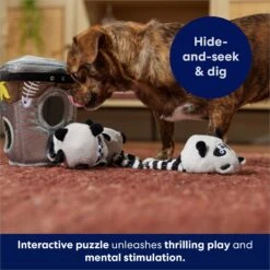 Frisco Volcano Hide & Seek Puzzle Plush Squeaky Dog Toy & Frisco Trash Can & Raccoons Hide & Seek Puzzle Plush Squeaky Dog Toy 10 Frisco Volcano Hide & Seek Puzzle Plush Squeaky Dog Toy & Frisco Trash Can & Raccoons Hide & Seek Puzzle Plush Squeaky Dog Toy -Pet Store 962054 PT8. AC SS1800 V1694783037