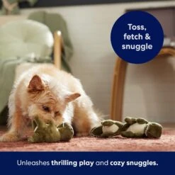 Frisco Volcano Hide & Seek Puzzle Plush Squeaky Dog Toy Refills, 3 Count & Frisco Volcano Hide & Seek Puzzle Plush Squeaky Dog Toy -Pet Store 962078 PT4. AC SS1800 V1694782978