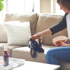 Frisco Corndog Interactive Plush Squeaky Dog Toy & Frisco Guacamole Hide & Seek Puzzle Plush Squeaky Dog Toy 5 Frisco Corndog Interactive Plush Squeaky Dog Toy & Frisco Guacamole Hide & Seek Puzzle Plush Squeaky Dog Toy -Pet Store 962086 PT3. AC SS1800 V1694782979