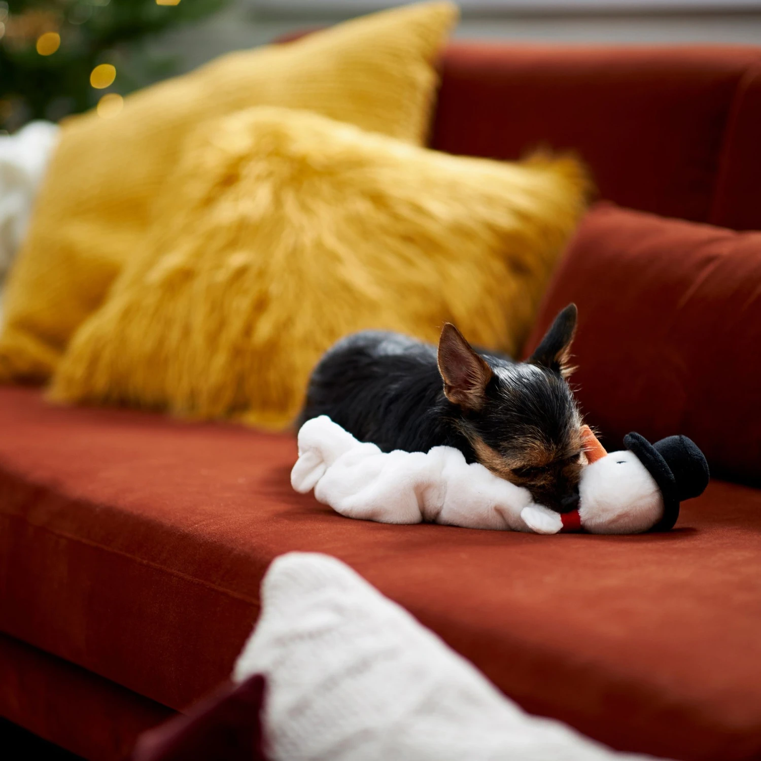 Frisco Holiday Reindeer Bungee Plush Squeaky Dog Toy & Frisco Holiday Snowman Bungee Plush Squeaky Dog Toy Frisco Holiday Reindeer Bungee Plush Squeaky Dog Toy & Frisco Holiday Snowman Bungee Plush Squeaky Dog Toy -Pet Store 986126 PT8. AC SS1800 V1698346274