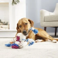 Frisco Holiday Snowman Plush With Rope Squeaky Dog Toy & Frisco Holiday Reindeer Plush With Rope Squeaky Dog Toy -Pet Store 986174 PT4. AC SS1800 V1698258345