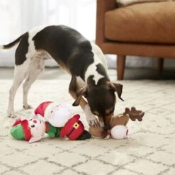 Frisco Holiday Santa's Helpers Plush Squeaky Dog Toy, 3 Count & Frisco Holiday Tree Thin Plush Squeaky Dog Toy -Pet Store 986222 PT4. AC SS1800 V1698258463