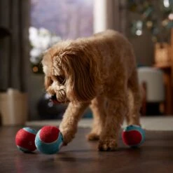 Frisco Holiday Ho Ho Ho Fetch Squeaky Tennis Ball Dog Toy & Frisco Holiday Arctic Friends Stuffing-Free Skinny Plush Squeaky Dog Toy 6 Frisco Holiday Ho Ho Ho Fetch Squeaky Tennis Ball Dog Toy & Frisco Holiday Arctic Friends Stuffing-Free Skinny Plush Squeaky Dog Toy -Pet Store 986310 PT4. AC SS1800 V1698257790